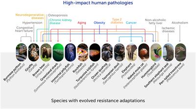 The future of evolutionary medicine: sparking innovation in biomedicine and public health